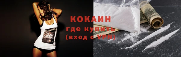 твердый Новодвинск