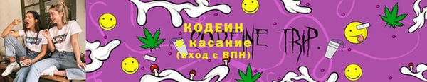 соль ск Новозыбков