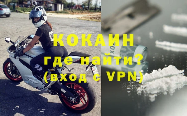 шишки Болохово