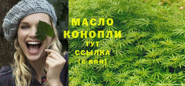 соль ск Новозыбков