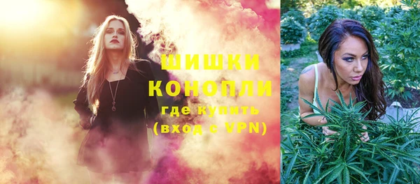 соль ск Новозыбков