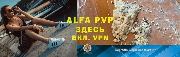 твердый Новодвинск