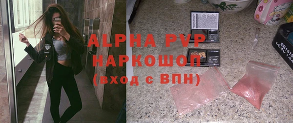 соль ск Новозыбков