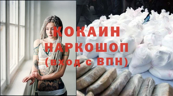 шишки Болохово
