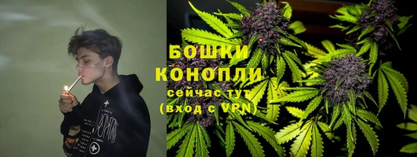 соль ск Новозыбков