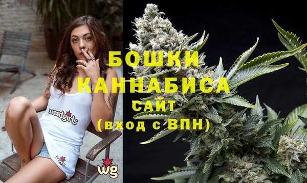 шишки Болохово