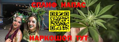 стаф Гусиноозёрск