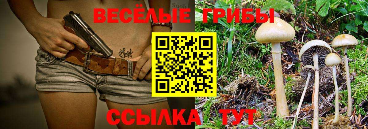 Костомукша  Псилоцибиновые грибы прущие грибы  Вход с VPN 