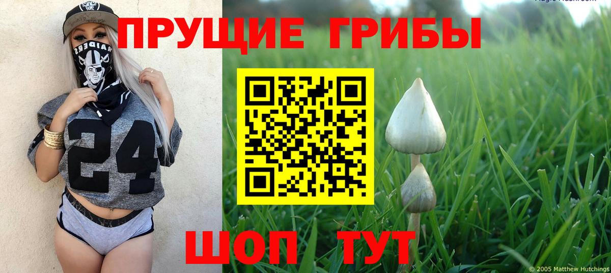 Псилоцибиновые грибы Magic Shrooms Костомукша